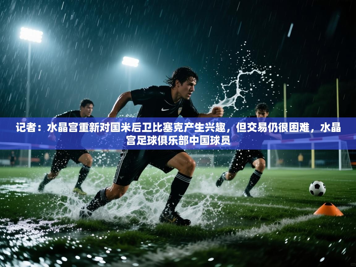 记者：水晶宫重新对国米后卫比塞克产生兴趣，但交易仍很困难，水晶宫足球俱乐部中国球员  第1张