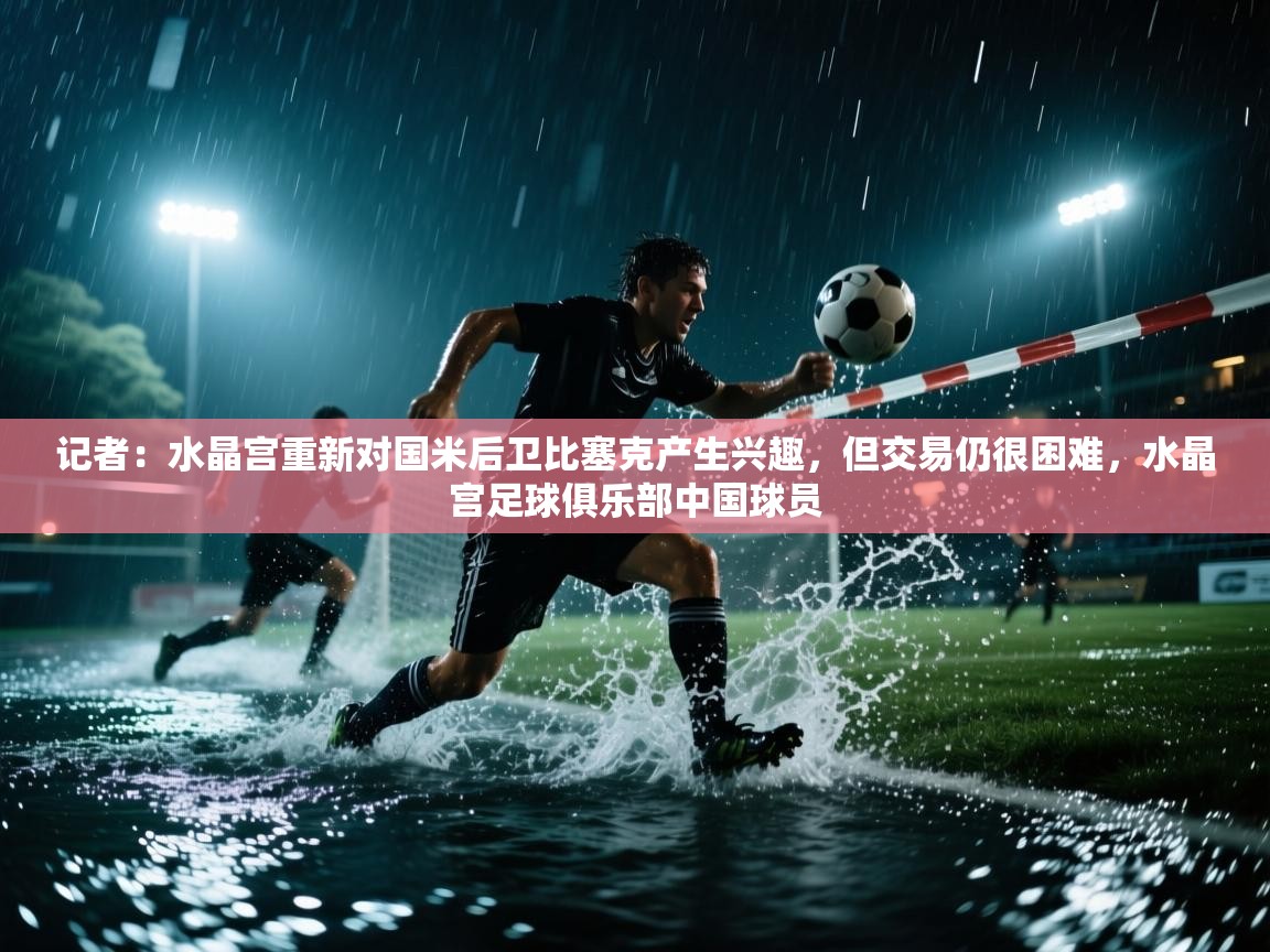 记者：水晶宫重新对国米后卫比塞克产生兴趣，但交易仍很困难，水晶宫足球俱乐部中国球员  第2张